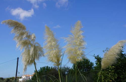 Villa Desiree - Foto 10