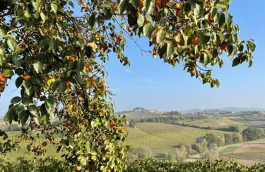 Locazione turistica Cascina Pela - Foto 7