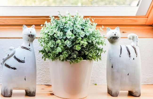 Modernes Ferienhaus in Thorstorf mit Sauna - Foto 28