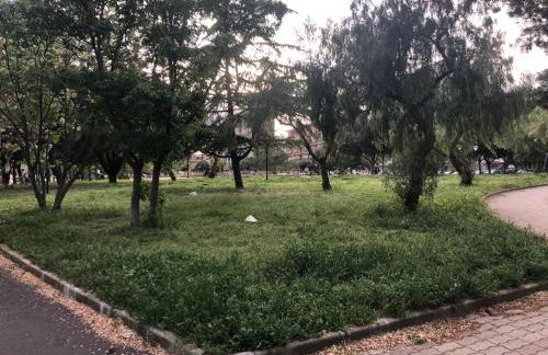 F&G 71100 - - Colazione inclusa - Box auto privato su richiesta - Foto 38