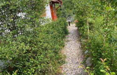 Na zielonej łące... - Foto 49