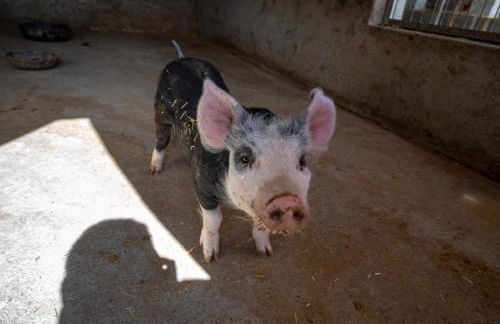 Reul Alto Cortijos Rurales - Foto 53