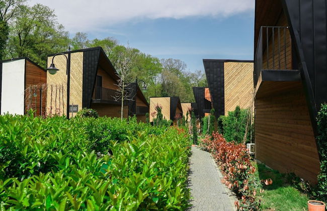 Backyard Sapanca - Foto 26