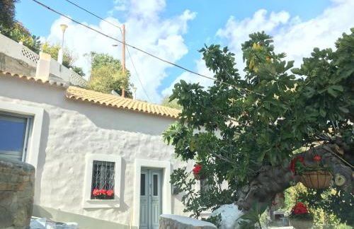 Casa Metropolis - Foto 25