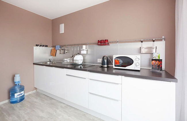 Apartment Etazhydaily Belinskogo - Photo 47