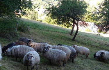 Meisterhaus Alpirsbach Wohnung OG - Foto 27