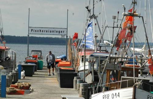 Jadgschloss zu Hohen Niendorf - Photo 15