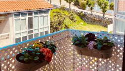 Playa Panjón - Foto 2