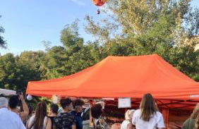 Petite Vue Vert - Foto 2