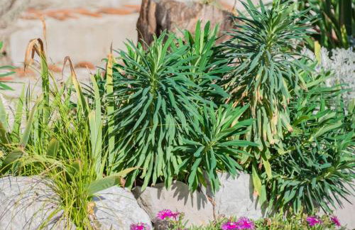 Holiday Home Luna by Interhome - Foto 69