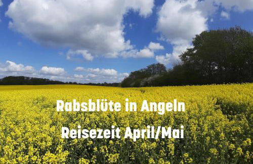 De lütte Ünnen - Foto 17