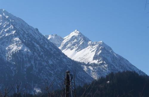 Alpakahof Wechs - Foto 9