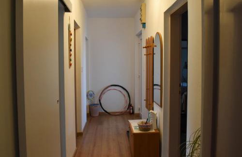 Kuća za odmor Lara - Foto 4