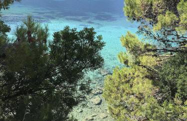 Apartment Jon Zuljana - Foto 5