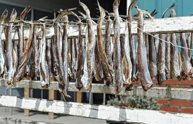 Holiday Home Zoutkamp Near Lauwersmeer - Foto 34