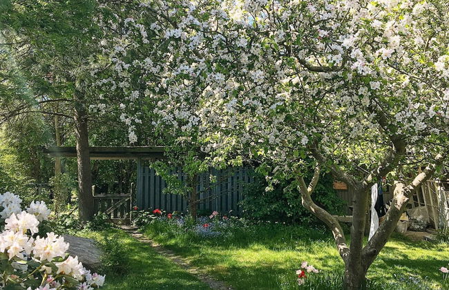 8 Person Holiday Home in Kirke Hyllinge - Foto 23