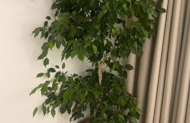 Luxury 1 Bedroom Apartment In London with Free parking - Foto 36