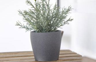 Golf & Playa a 1 min - Photo 17