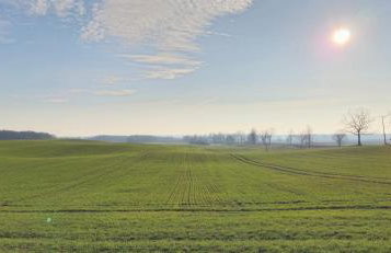 Agroturystyka „Między Polami” - Foto 37