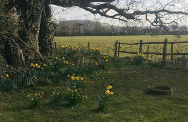 The Old Flower Field - Foto 18