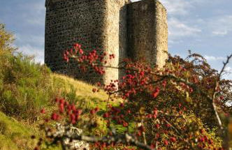 Neidpath Castle Cottage - Foto 14