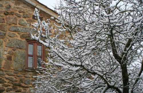 Ares do Montemuro - Foto 15