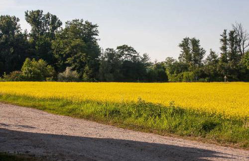 FeWo Oberle - Foto 8