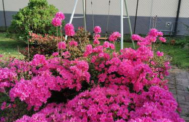 Grandma's garden house - Foto 22