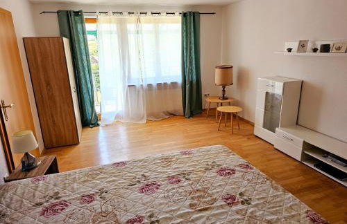 Ferienhaus-Drachenfels-Busenberg - Foto 26