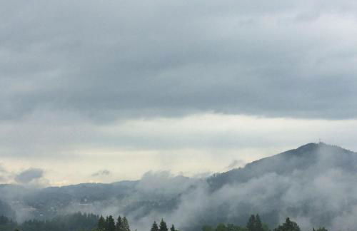 Ferienwohnung mit Aussicht im Bergdorf Steibis im Allgäu - Foto 39
