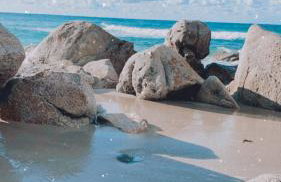 Résidence Roc e Mare - Foto 80