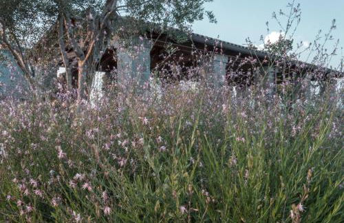 i Cacciagalli Wine Resort - Foto 14