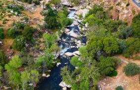 Little Bear Lodge - Foto 41