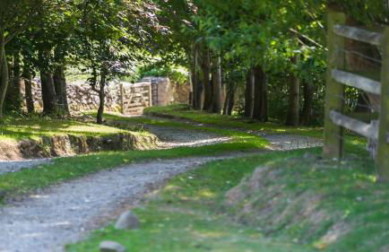 Ty Gan y Mor - Foto 30