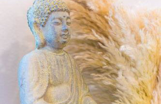 Rainforest Tiny Home Retreat BOHO - Foto 19