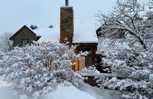 Seven Springs Hideaway Ski In and Out Pet Friendly - Foto 5