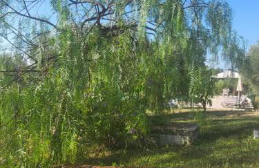 Country House Ciliegia Rossa - Foto 6