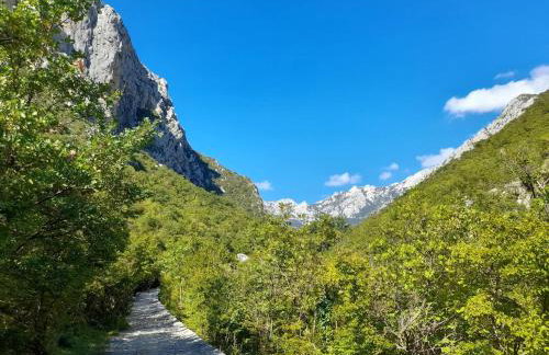 Apartments La Bombonera - Foto 77