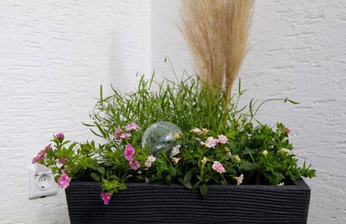 Ferienwohnung Sonnenblick Balkony - WIFI - New & Modern - Winterberg - Niedersfeld - Foto 47