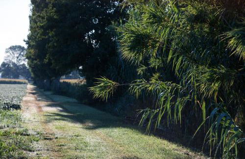 Agriturismo Ai Due Leoni - Foto 128