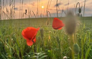 Przystanek Prawdowo - Foto 76