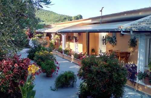 Marika Garden Studios - Foto 9