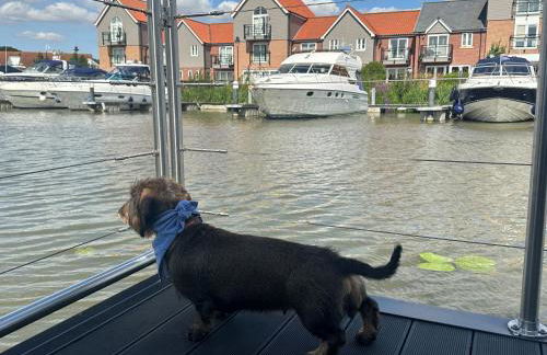 Lincoln Floating Holidays - Foto 10