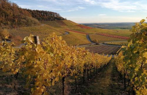 Old parish barn - Photo 32