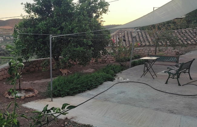 Cottage in Vellies-nice Place for Families - Foto 23