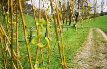 Schrauts Unwesen - Photo 49