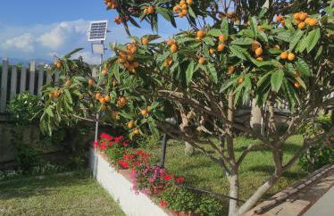 Zefiro Casa Vacanze - Foto 11