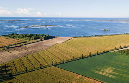 Agriturismo Ai Due Leoni - Foto 102