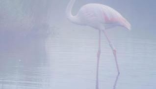 Via Roma House appartamento - Foto 3