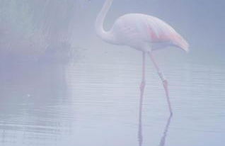 Via Roma House Casetta - Foto 35